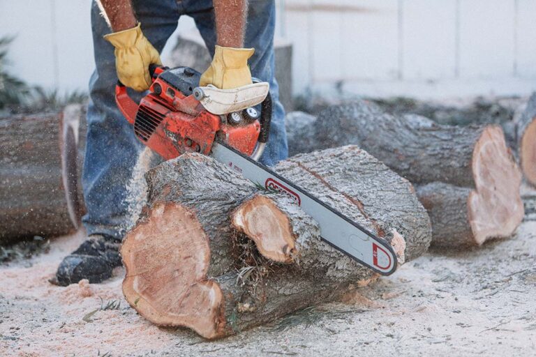 man cutting tree and stumps with chainsaw